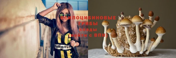 Альфа ПВП Абаза