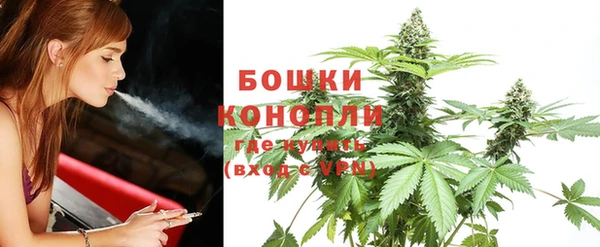 Альфа ПВП Абаза