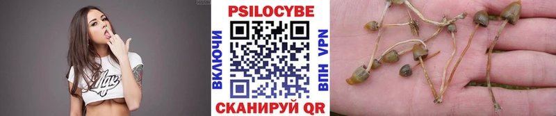 Псилоцибиновые грибы прущие грибы Алагир